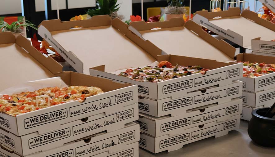 Several open pizza boxes in Boise, Idaho, stacked on a table with plants in the background.